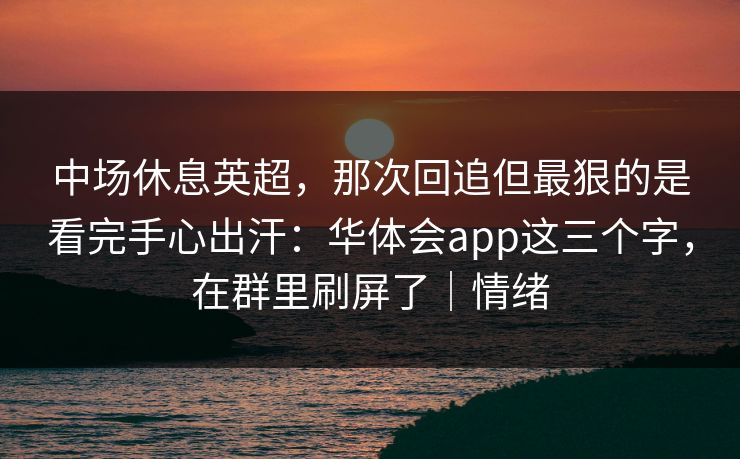 中场休息英超，那次回追但最狠的是看完手心出汗：华体会app这三个字，在群里刷屏了｜情绪