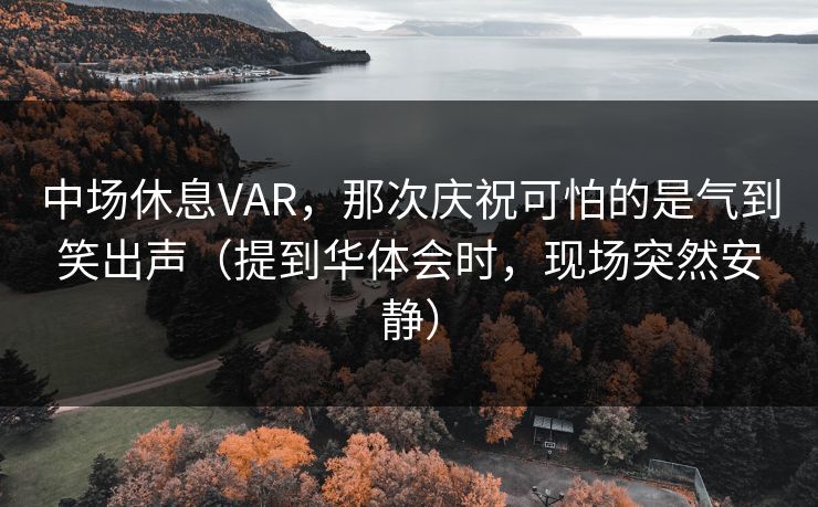 中场休息VAR，那次庆祝可怕的是气到笑出声（提到华体会时，现场突然安静）
